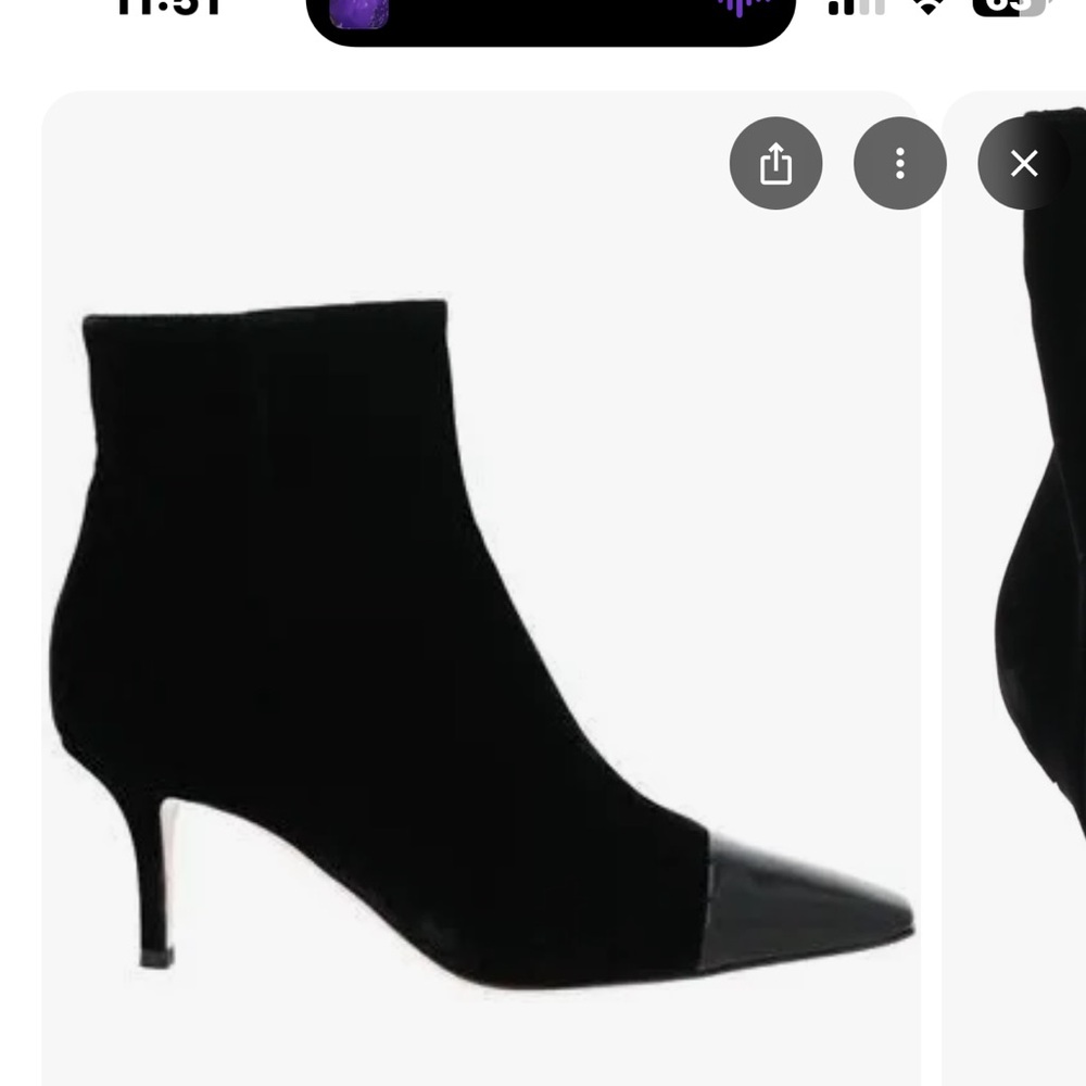 Gianvito Rossi ankle Velvet booties